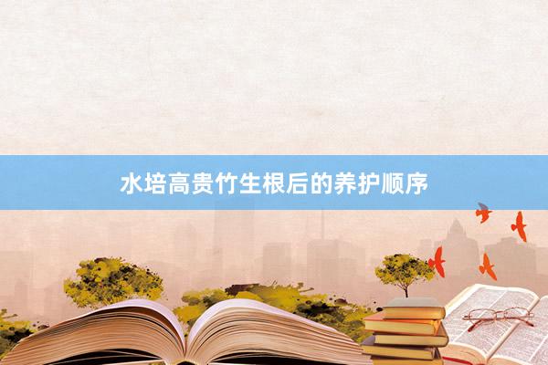 水培高贵竹生根后的养护顺序