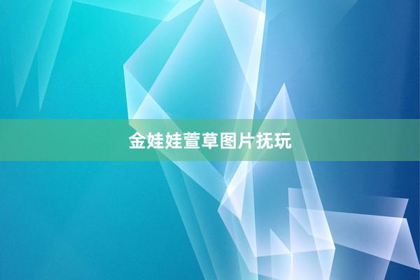 金娃娃萱草图片抚玩
