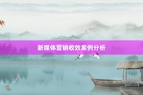 新媒体营销收效案例分析